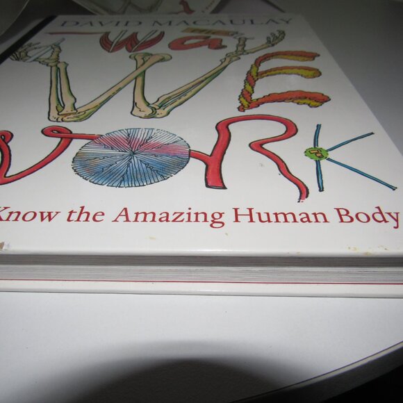 The Way We Work by David Macaulay – Getting to Know the Amazing Human Body – HC - Picture 5 of 8